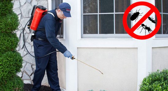 Devrekani Akrep İlaçlama böcek ilaçlama ve haşere kontrolü — ilaclama-tr.com